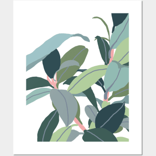 Ficus Posters and Art